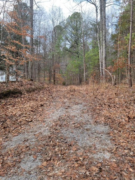 Kentucky Land Company